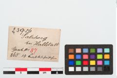 Etiketten zu Perlenkette (NHMW-PRAE-023956)